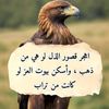 user13353851150725