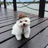 giorgos_gko