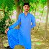 gull.muhammad3940