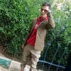 user8260538876520