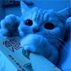 miswaa_707
