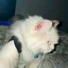 arsya.demian8