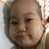 mamilot6