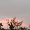 tiara.putri9693