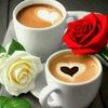 user681771310429
