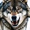 user39405240611462