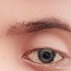 asil.algnmlh