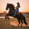 mangalarga_marchador5