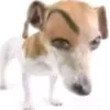 nathan_dcosta