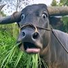 69.yuk
