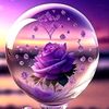 raean.ali01
