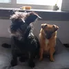je_weet_wel_mati