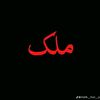 malik.hamza1249