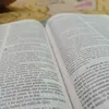 miluu_635