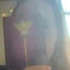 lilymoonbeartarot
