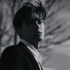 usej954