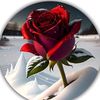 user8138385381759