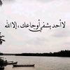 user8350419446112