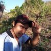 hebertosoma185
