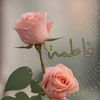 loleoidxe03