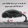 rahmat.rahmani94