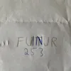 in.futur.253