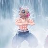 krill.is.cool