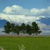 rojava33333