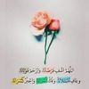 zynab_ansary
