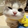 olivia89894