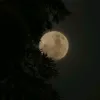 ggji180