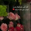 user6876223653193