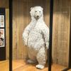 drop.bear38