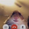 urgirlrayla1