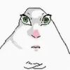 fernanda.picardo3