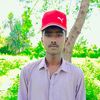 user40192548268318