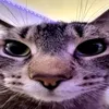 itsmenebulaidk