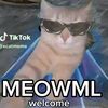 meow_ml3