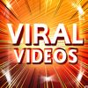 Viral Videos
