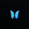 butterflyyy569