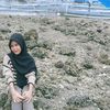 audy.harliani.s