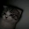 piwzz.x.ror.piw