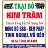 traibogiongkimtram.71