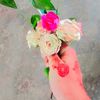 user2342416921153