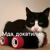 its_avakad001