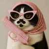 toto.cat789