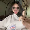 gmys06020