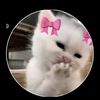 user7624003112334