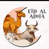 ainur.rofikk21