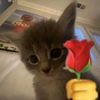 m_farhan_f_m040811